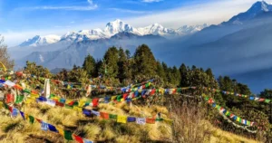 Rhododendron forest trail on Ghorepani Poon Hill Trek